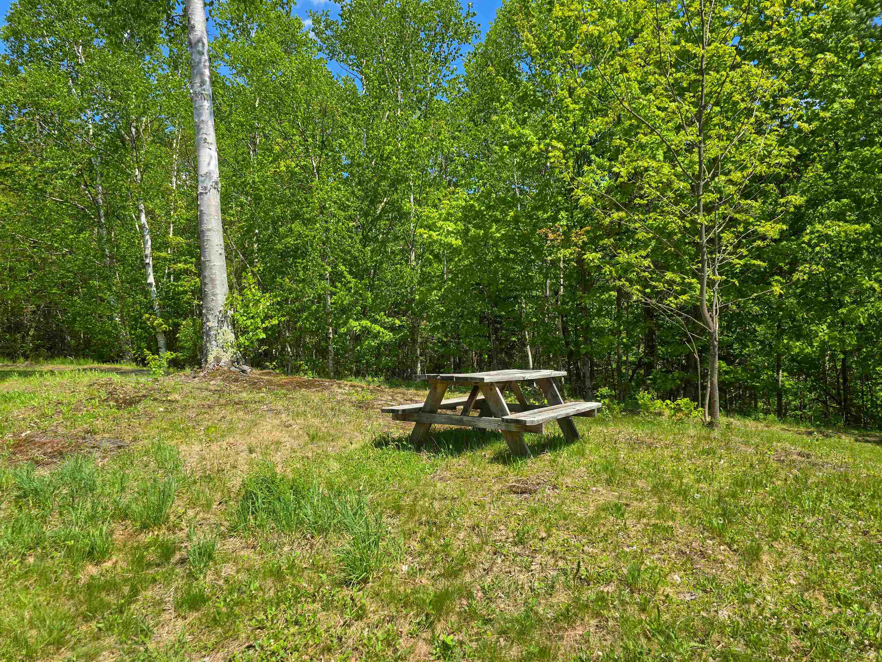 990 Daniels Road West Albany, VT 05845 - Photo 8 of 40