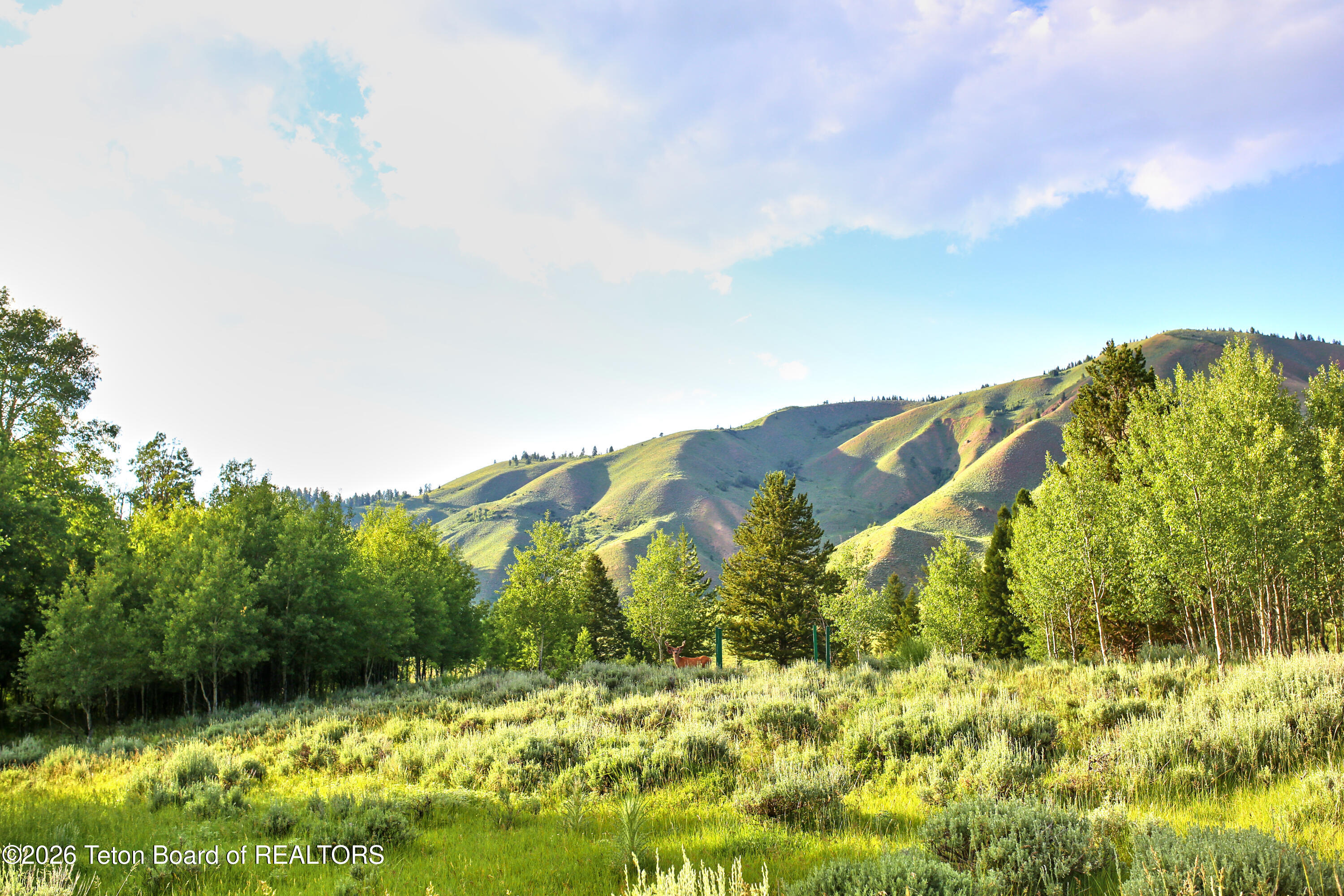 865 Elk Ridge Road Jackson, WY 83001 - Photo 5 of 20 Views