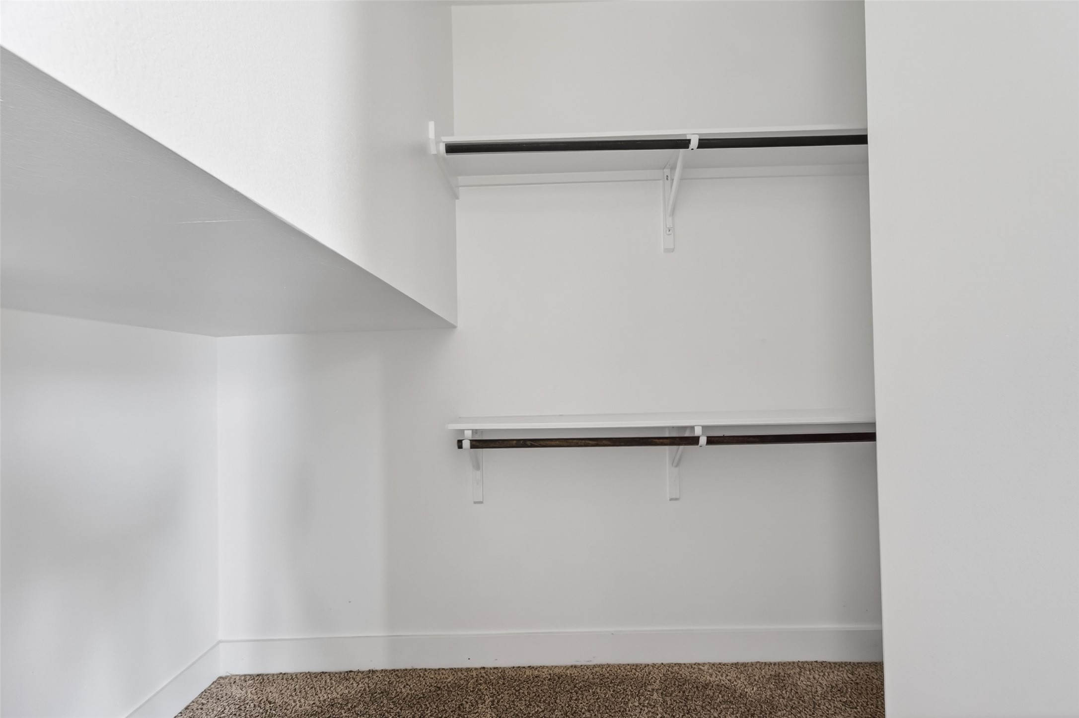 1202 Cedarpost Tree Springs Place Houston, TX 77055 - Photo 29 of 45 a view of a walk in closet