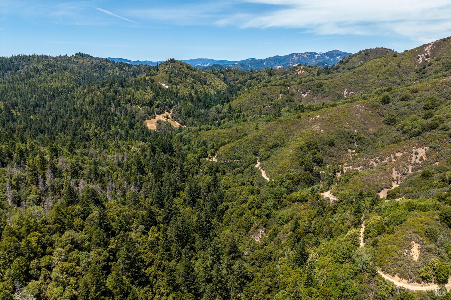 0 Laytonville Dos Rios Road Laytonville, CA 95454 - Photo 4 of 8