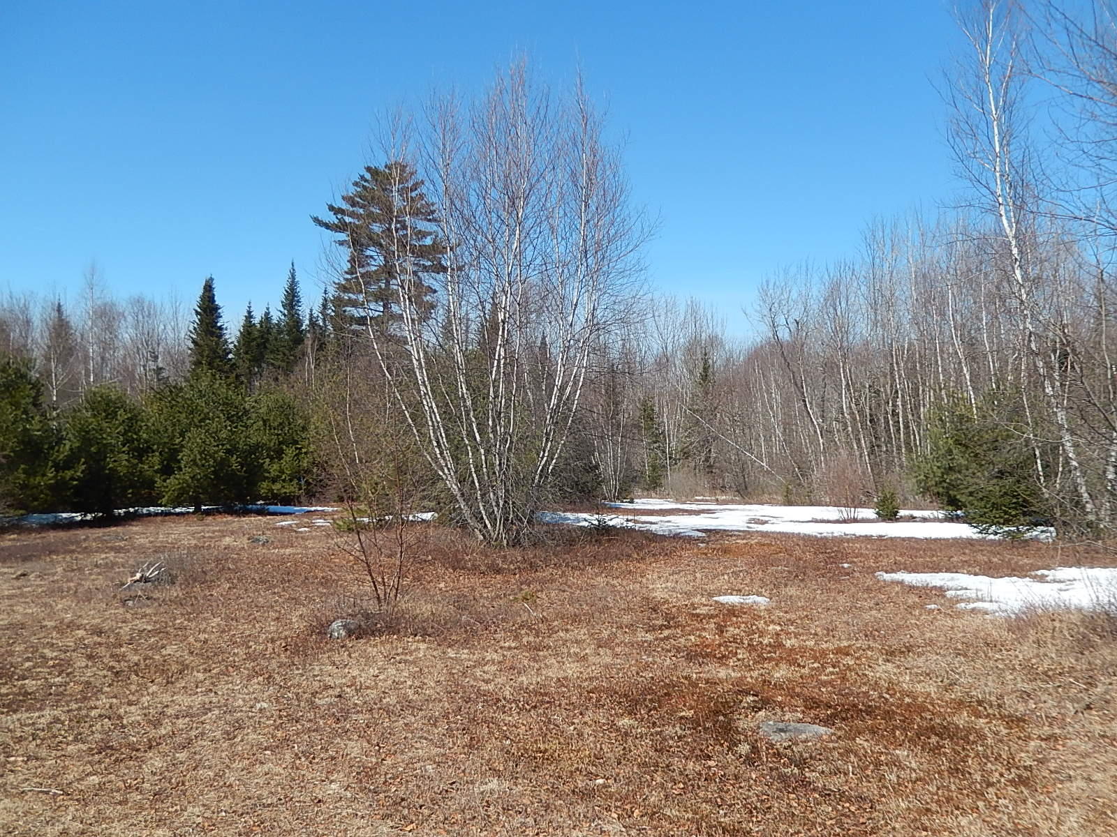 120 Bowen Road Searsport, ME 04974 - Photo 10 of 30 DSCN9123