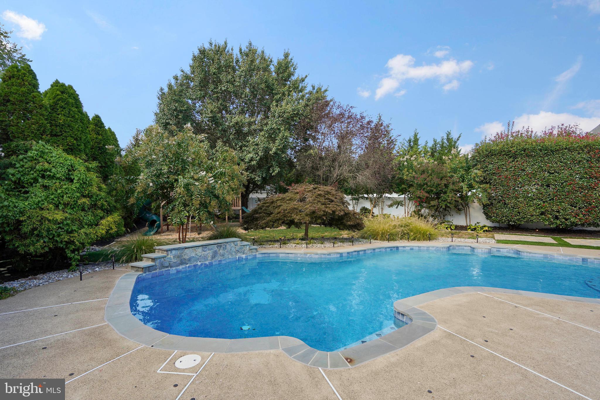 805 Rayquick Road Warrenton, VA 20186 - Photo 2 of 49 Pool Time