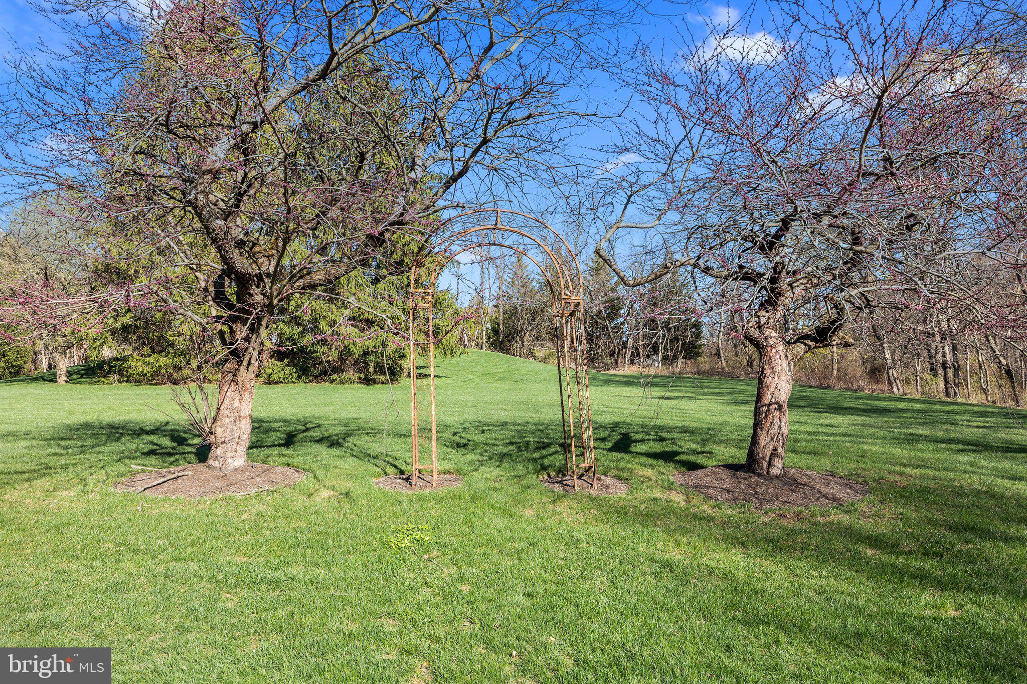 85 Brownsburg Road Newtown, PA 18940 - Photo 51 of 66 a view of a park with large trees