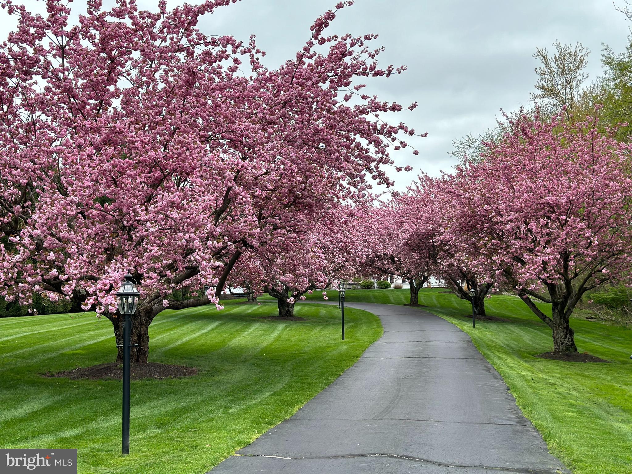 85 Brownsburg Road Newtown, PA 18940 - Photo 57 of 66