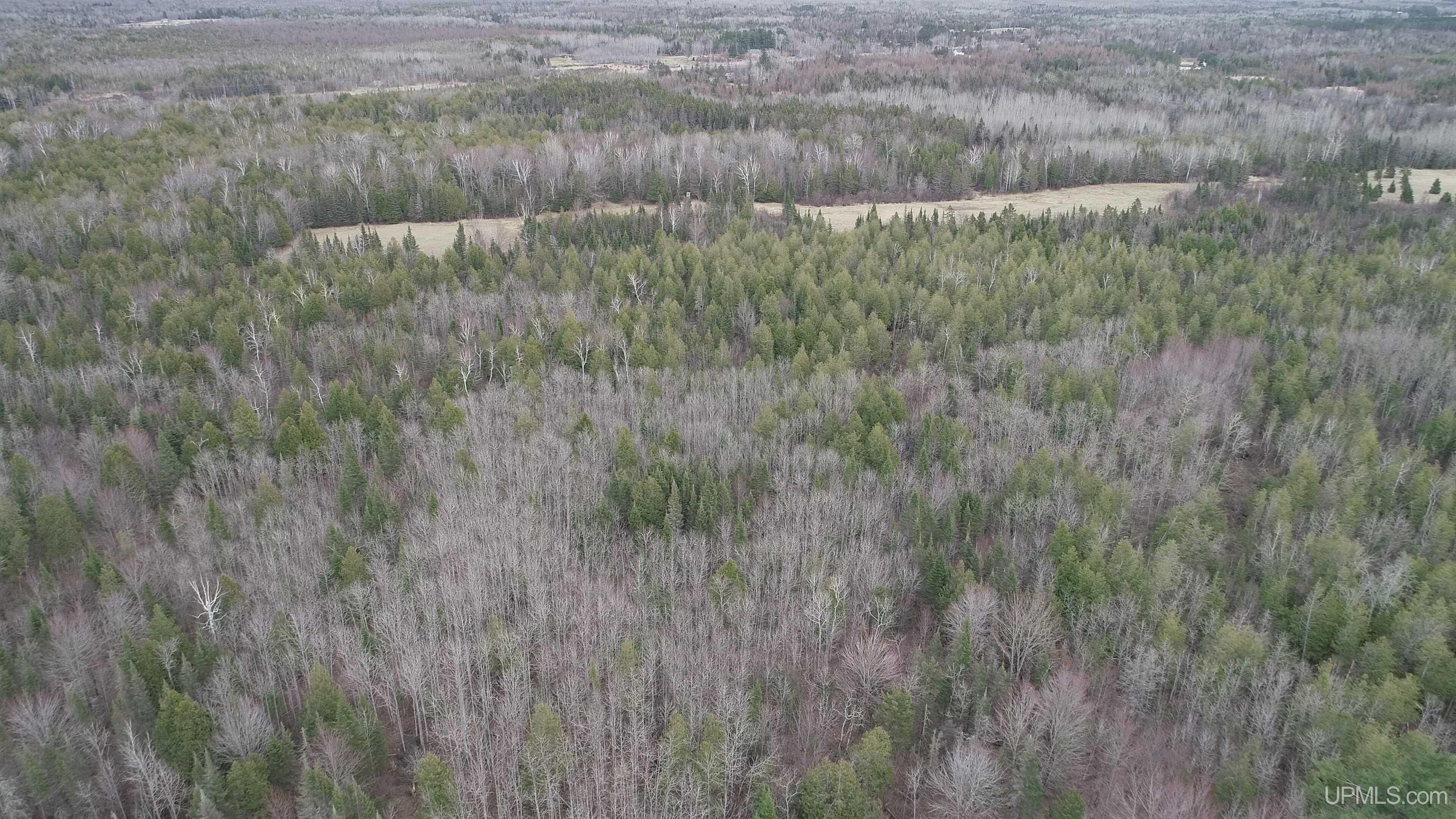 40-acres Trombley 35th Road Rock, MI 49880 - Photo 55 of 62
