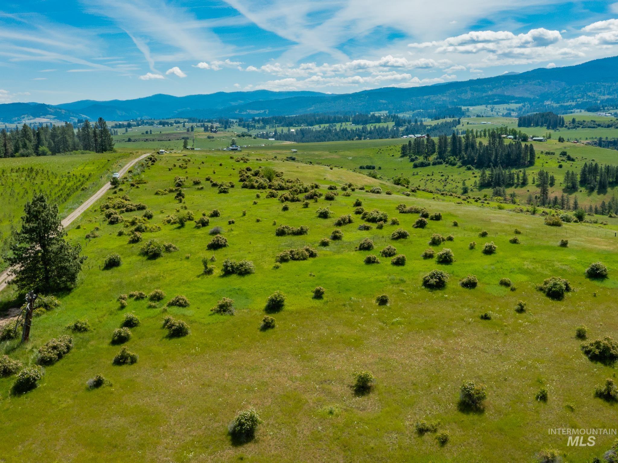 Tbd Brotnov Road Stites, ID 83552 - Photo 18 of 28