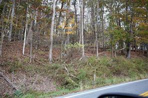17 B St Rt Callicoon, NY 12723 - Photo 1 of 1 Gallery Image 1