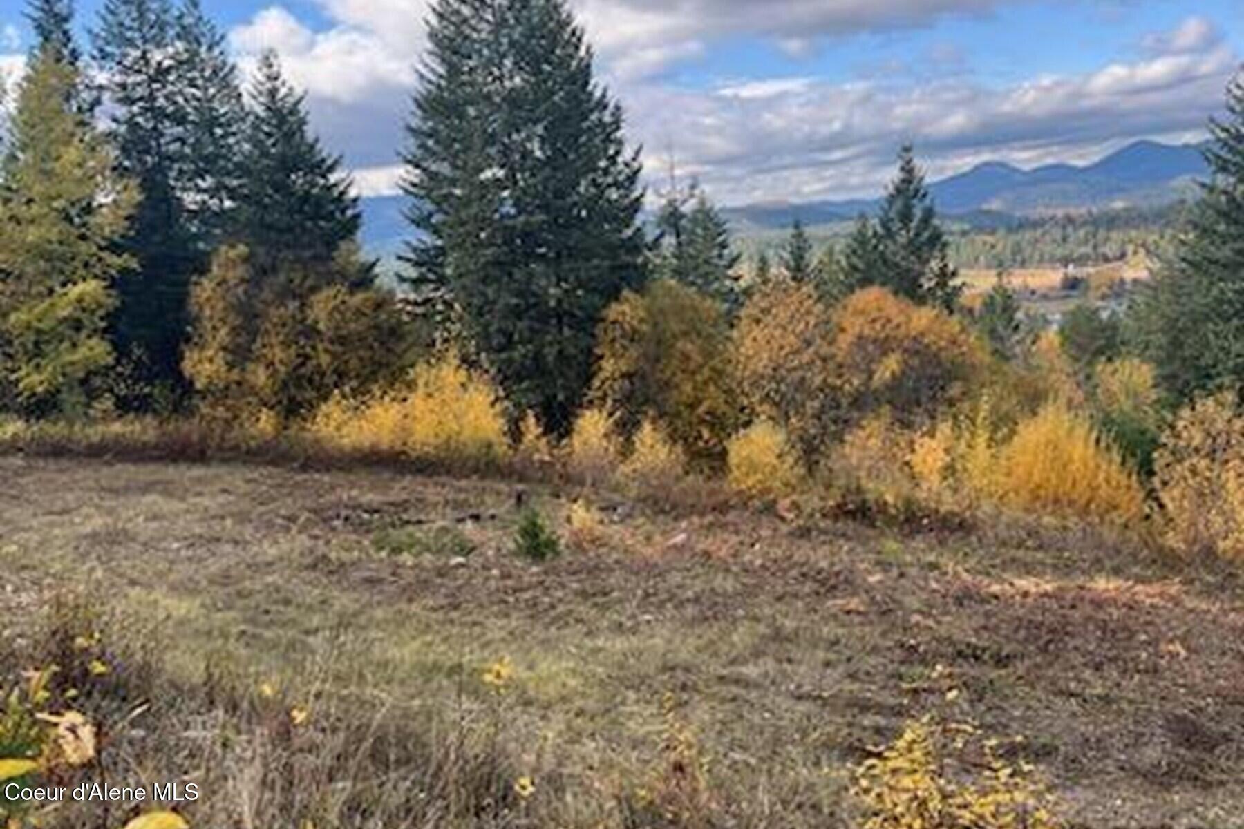 Lot 2 Forever View Road Sagle, ID 83860 - Photo 5 of 40 Cleared and Cleaned Build site