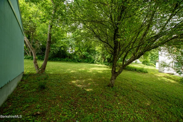 a view of yard with green space