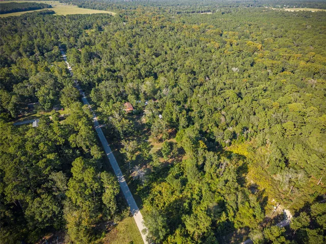 a view of a field with of plants