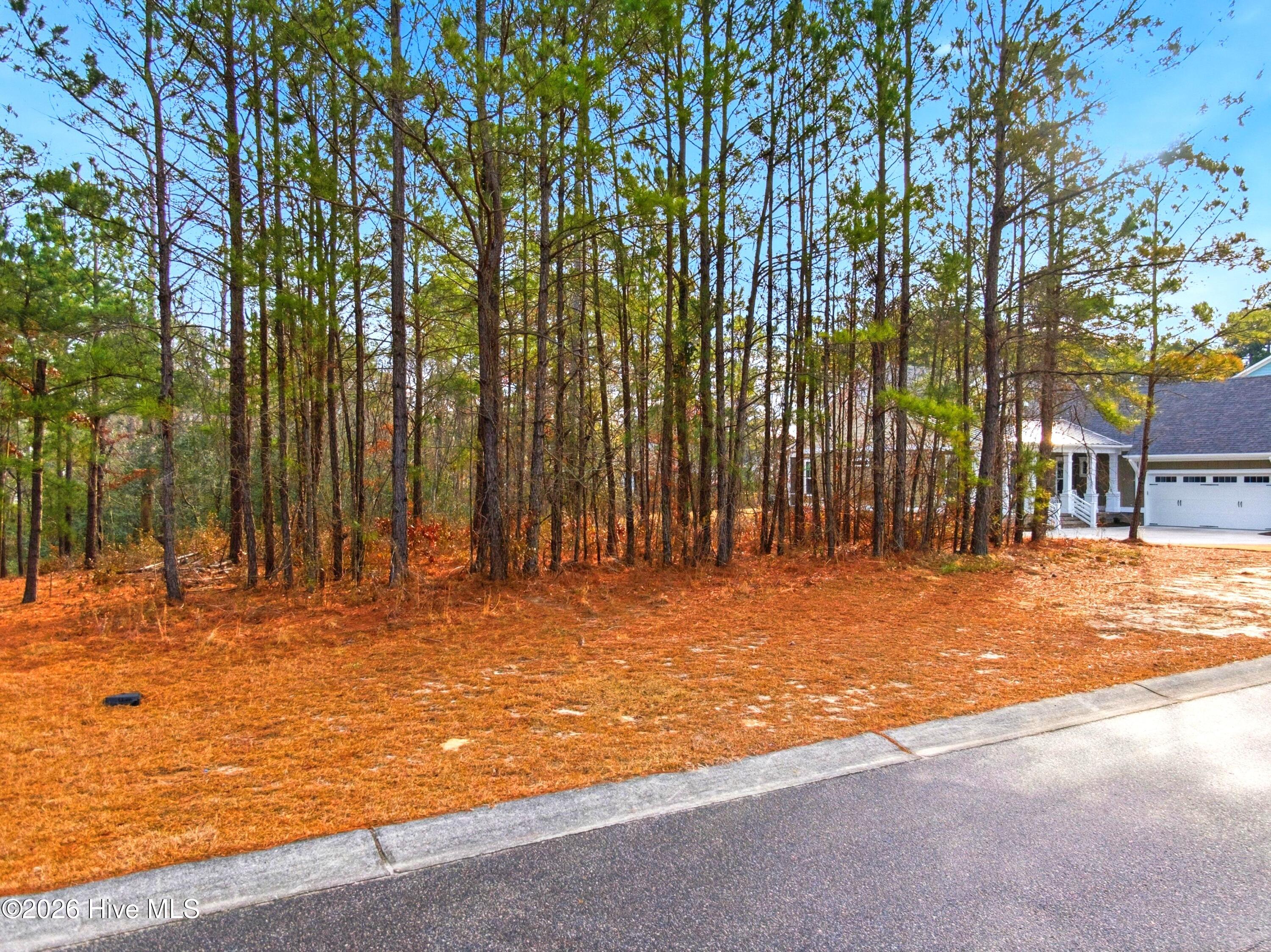 3772 Silver Melon Road Northeast Leland, NC 28451 - Photo 10 of 62 Picture 6