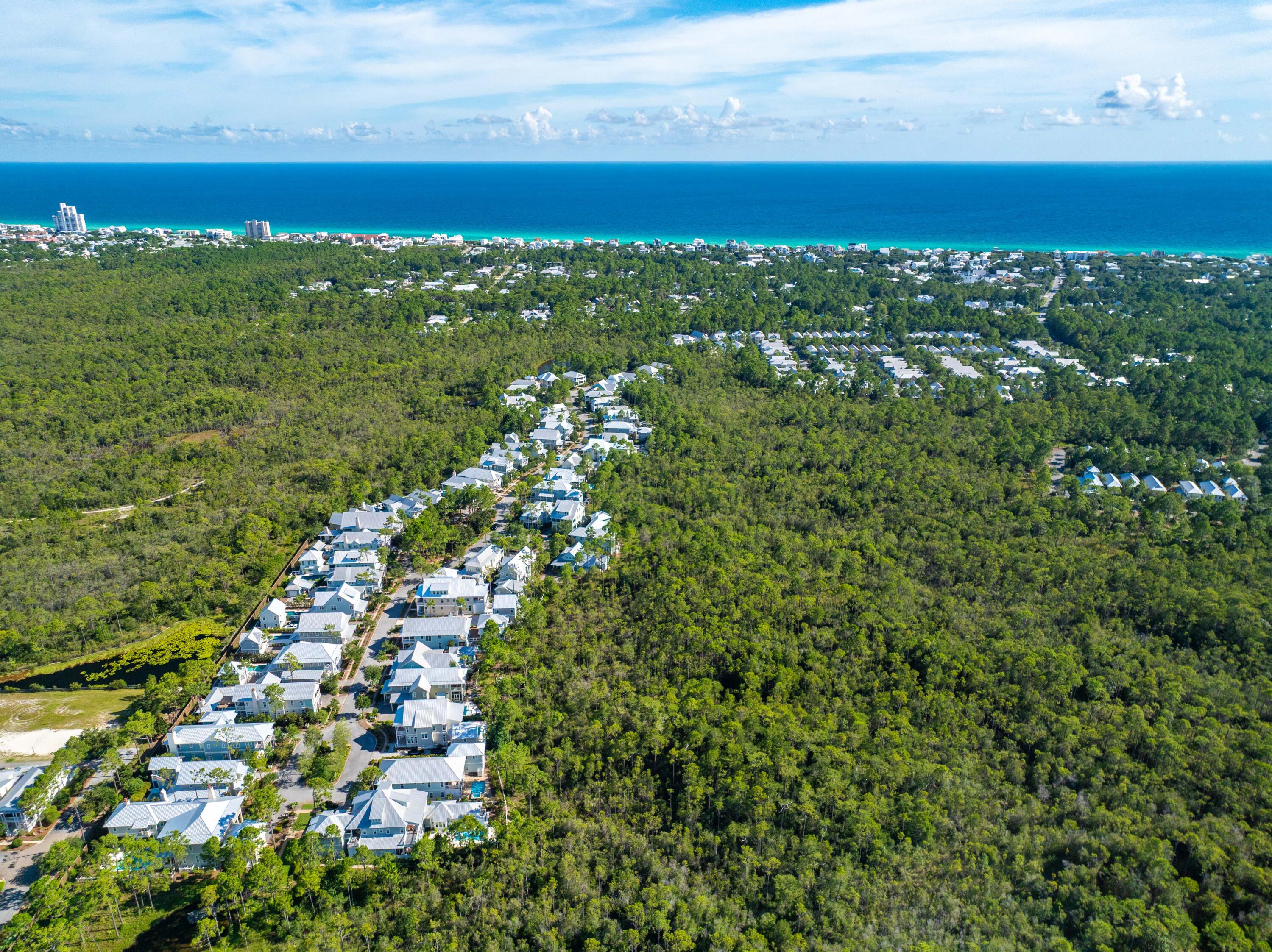 655 East Royal Fern Way Santa Rosa Beach, FL 32459 - Photo 73 of 75 655 E Royal Fern Aerial-6