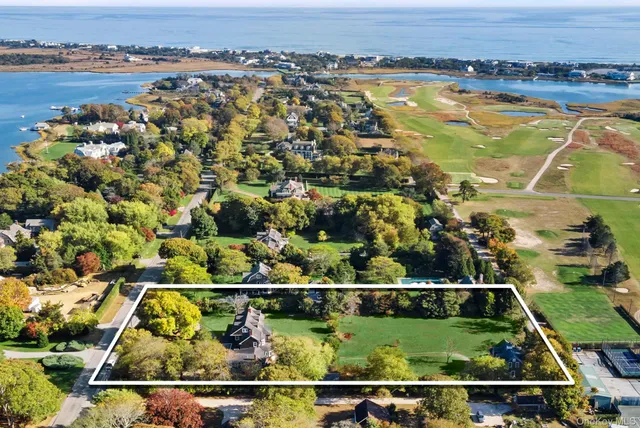 a view of a town with big trees