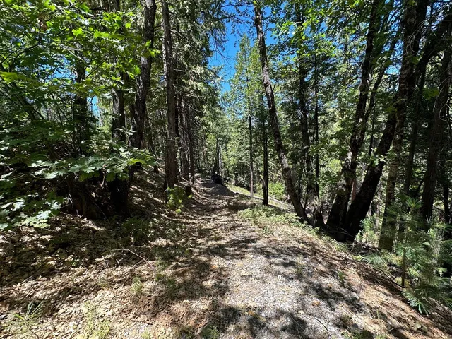 $72,000 | 487 Canyon View Drive, Murphys, CA 95247