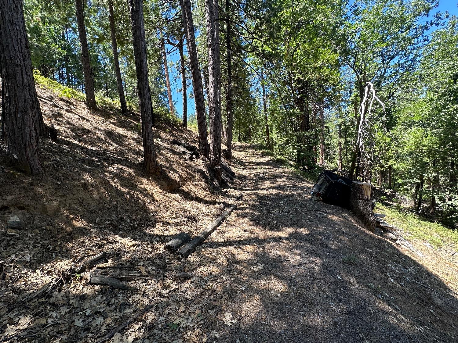 487 Canyon View Drive Murphys, CA 95247 - Photo 5 of 8