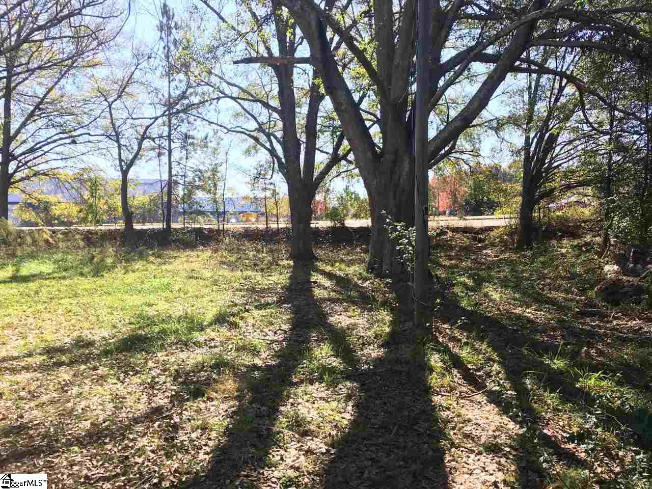 107 State Rd S-42-1836 Greer, SC 29651 - Photo 8 of 10