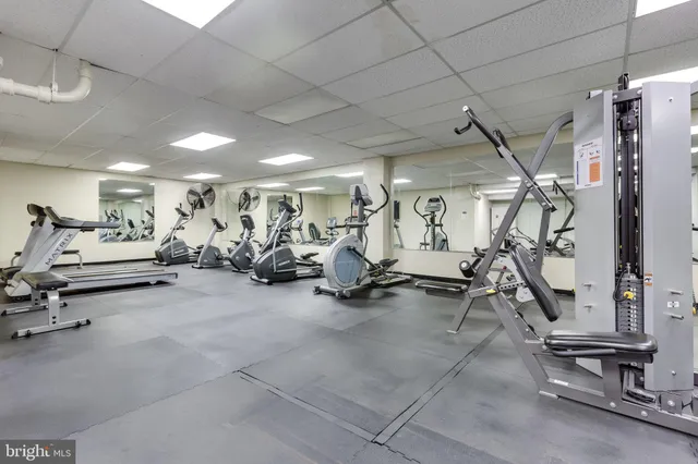 a view of park with large trees