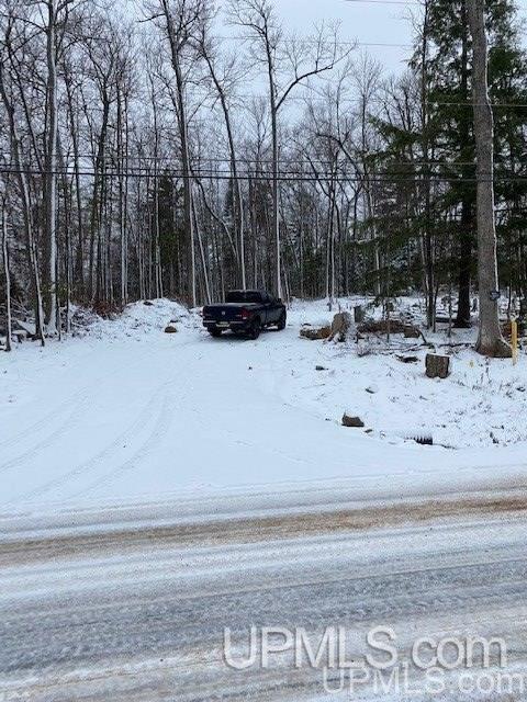 Tbd Tbd Northwoods Road Marquette, MI 49855 - Photo 19 of 31