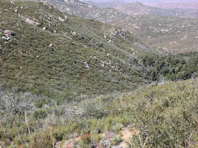 0 Off Boulder Creek Road Descanso, CA 92036 - Photo 2 of 3 Gallery Image 2