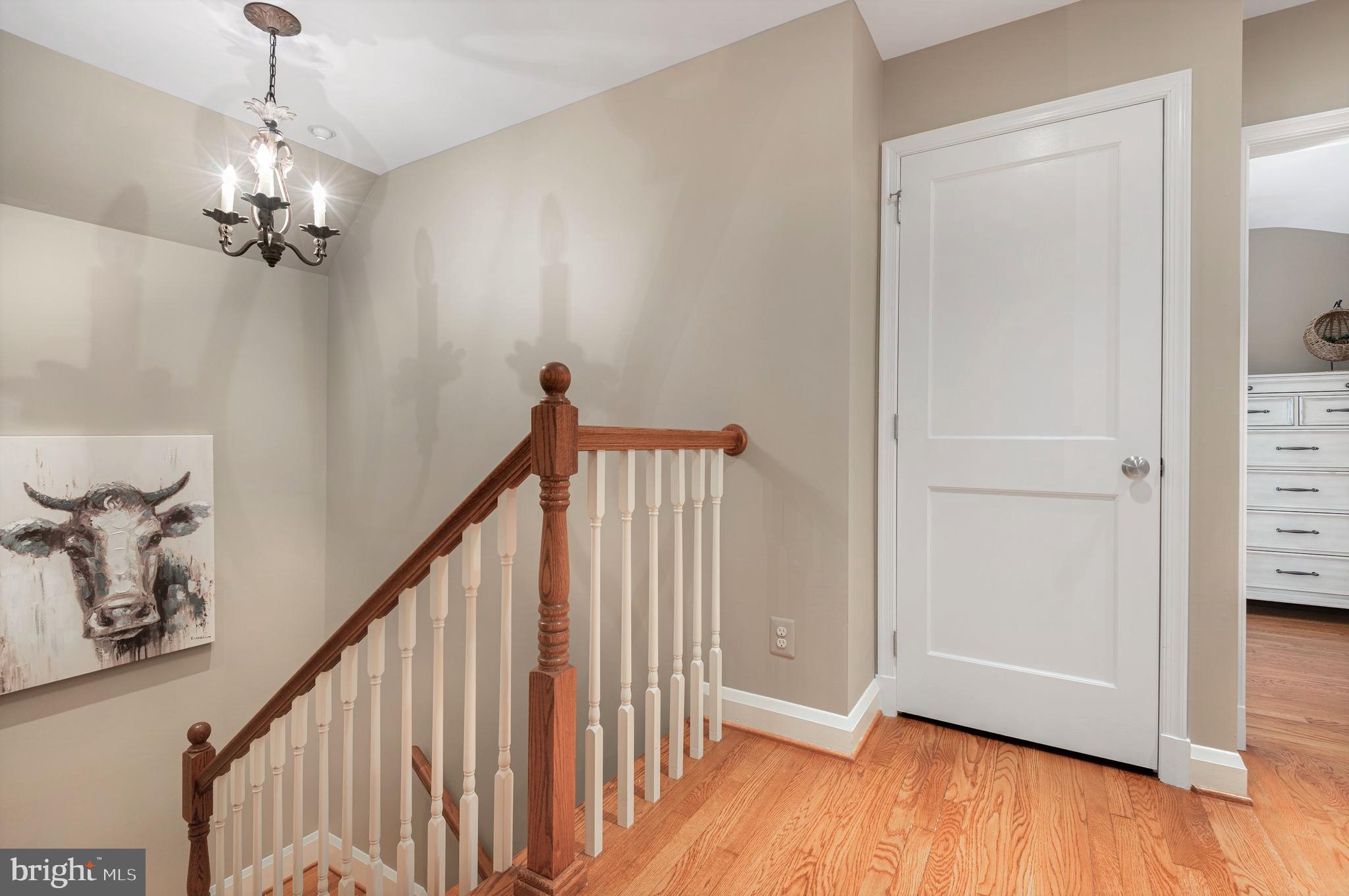 5908 Roland Avenue Baltimore, MD 21210 - Photo 23 of 40