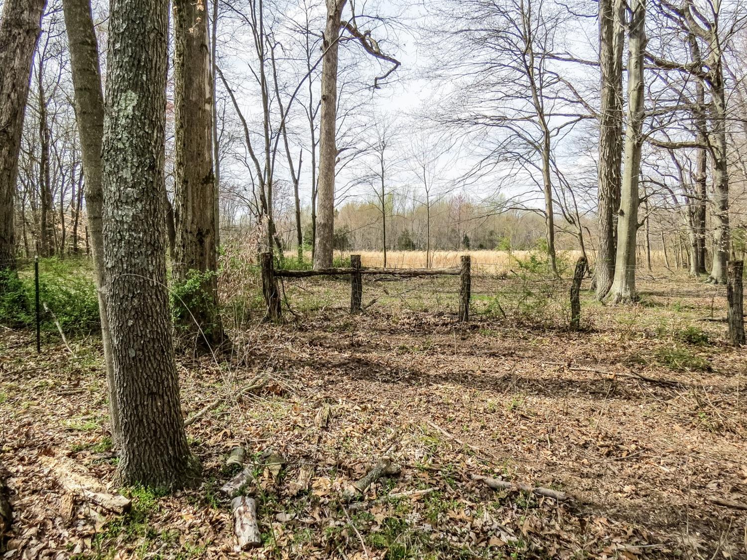 12333 Phillips Road Vevay, IN 47043 - Photo 13 of 25