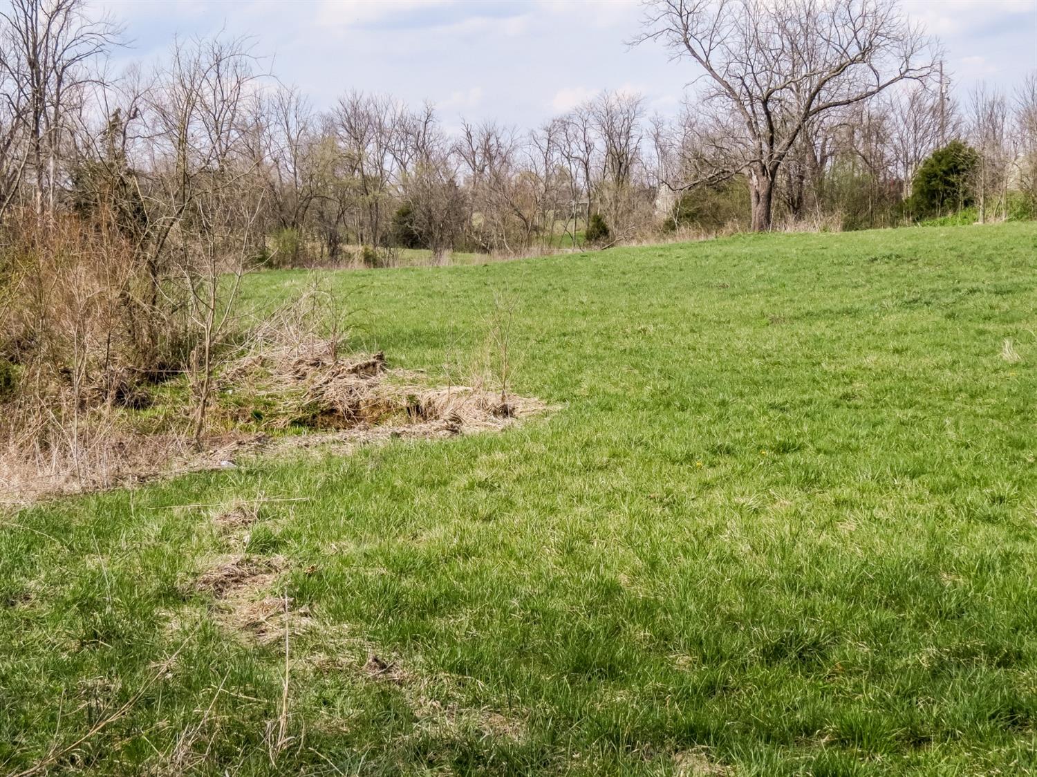 12333 Phillips Road Vevay, IN 47043 - Photo 22 of 25