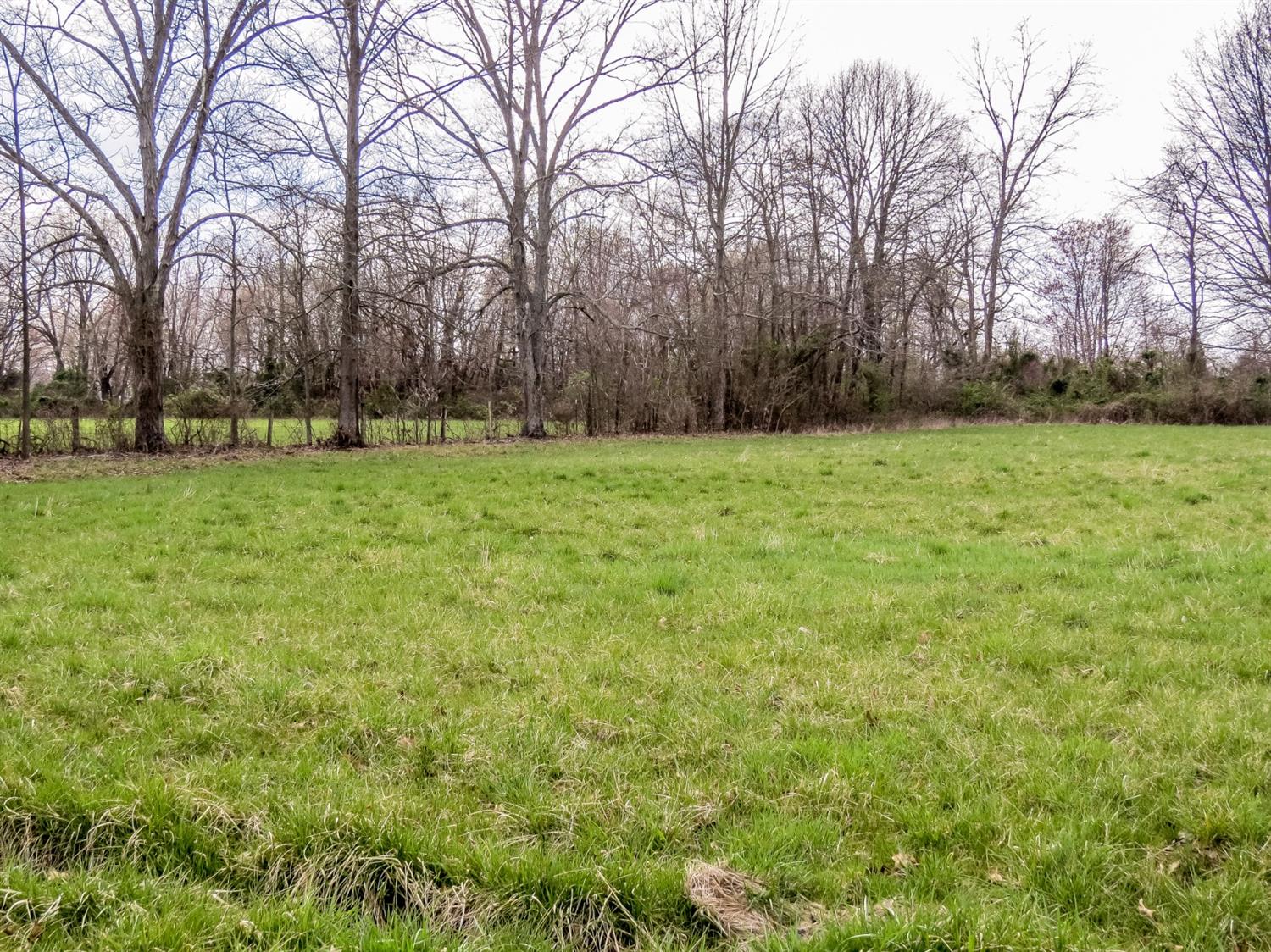 12333 Phillips Road Vevay, IN 47043 - Photo 7 of 25