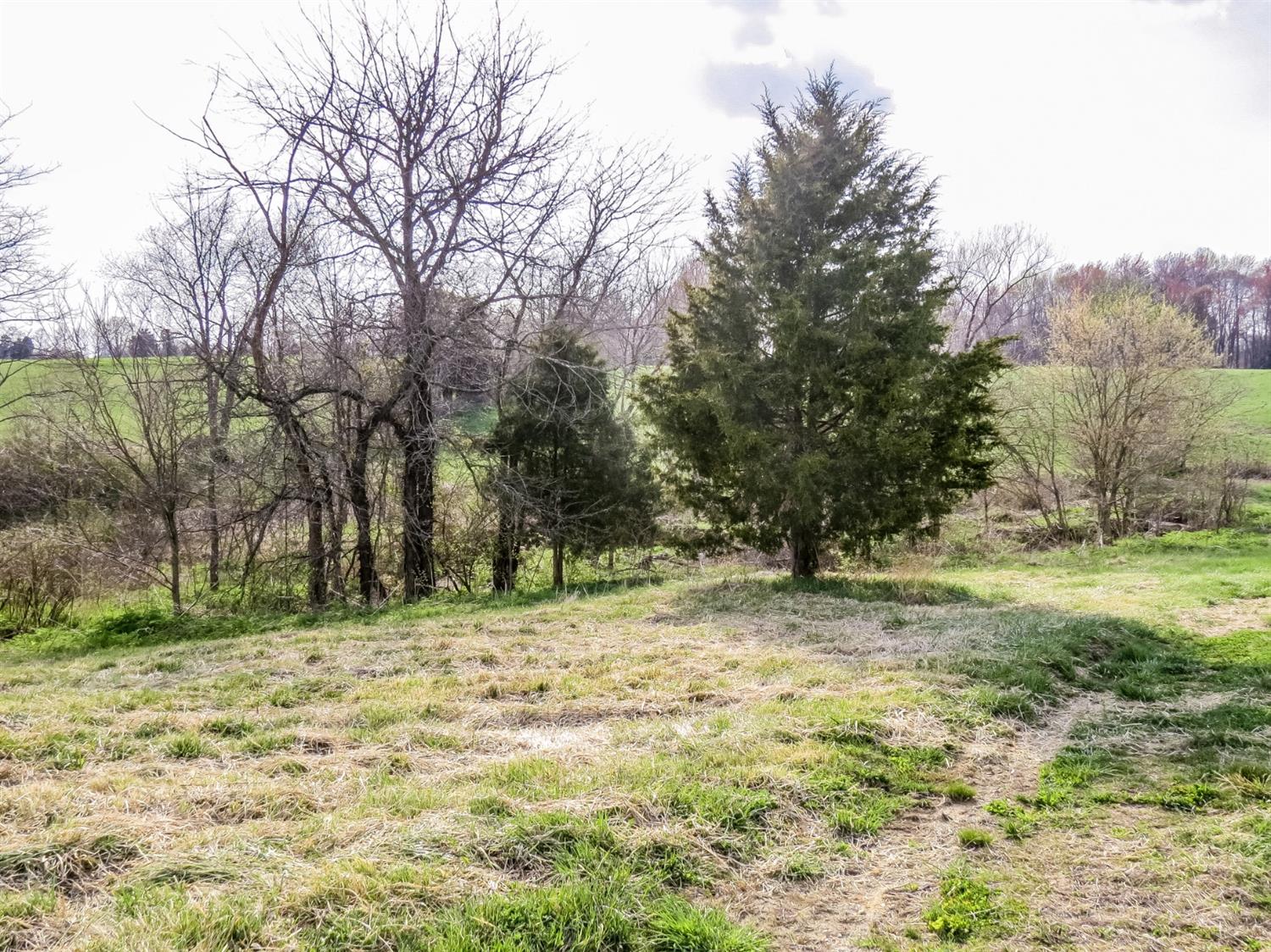12333 Phillips Road Vevay, IN 47043 - Photo 8 of 25