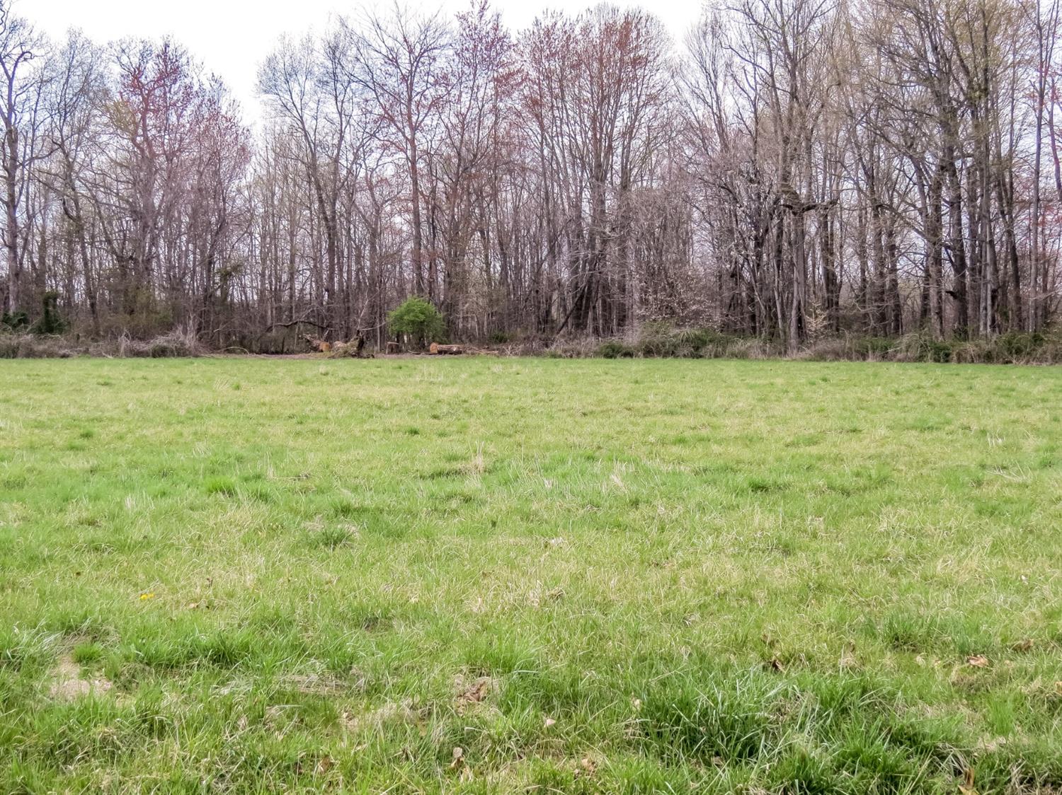 12333 Phillips Road Vevay, IN 47043 - Photo 9 of 25