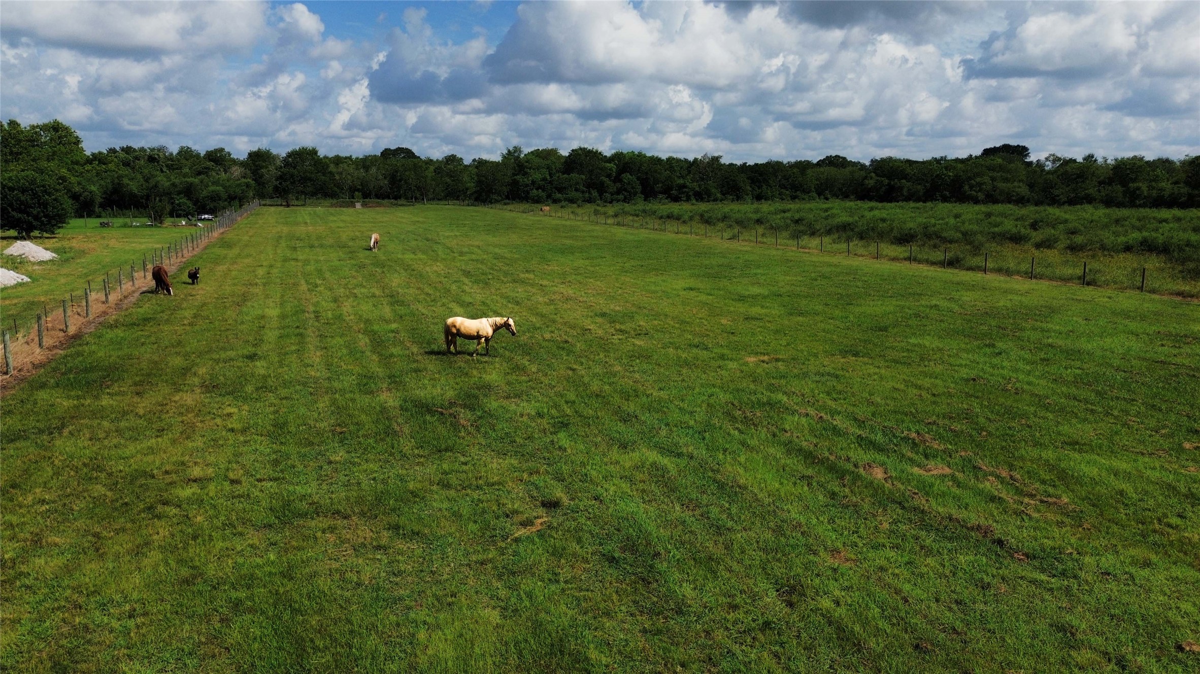0 Hubenak Road Needville, TX 77461 - Photo 7 of 10