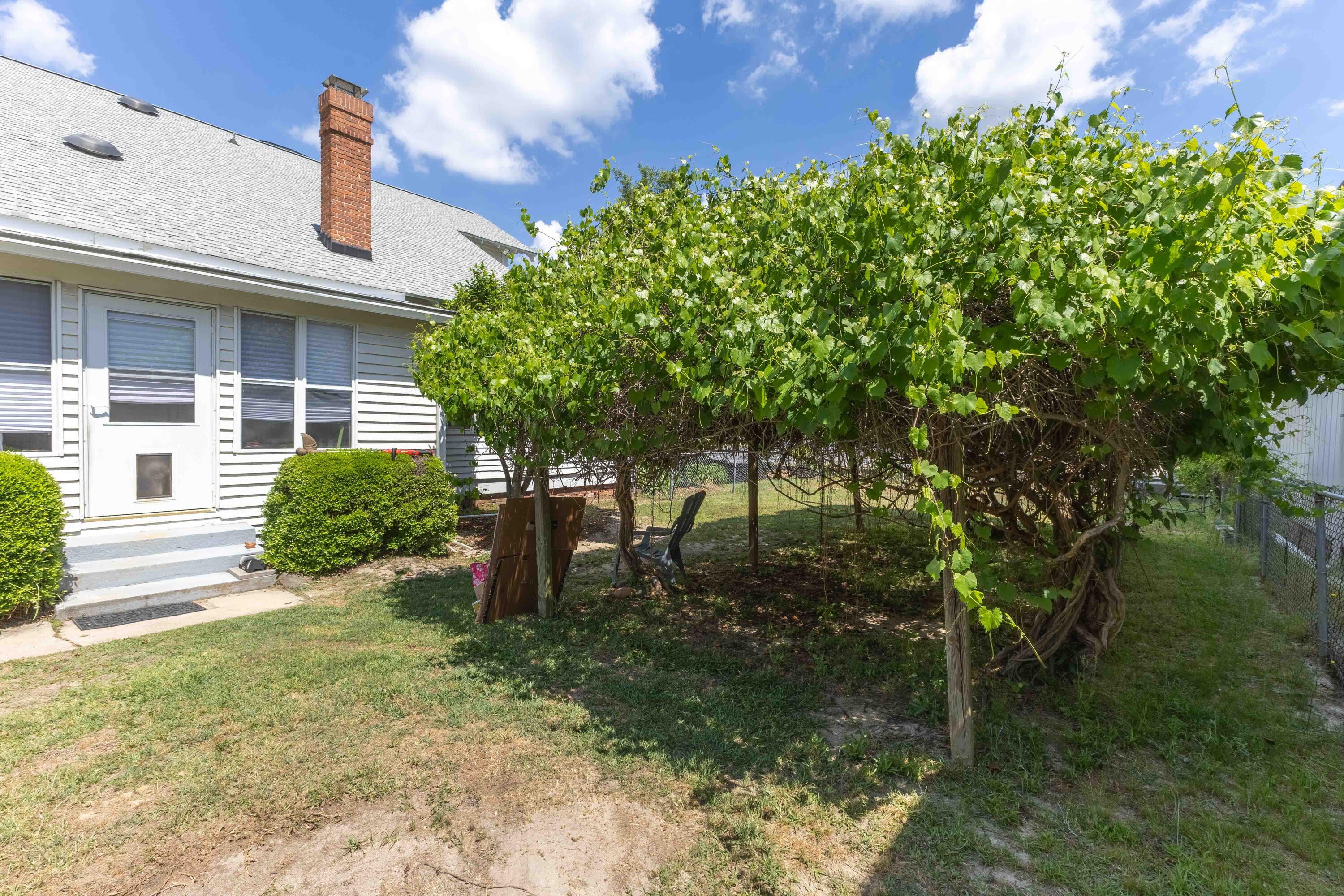 183 Main Street South Wagener, SC 29164 - Photo 57 of 82
