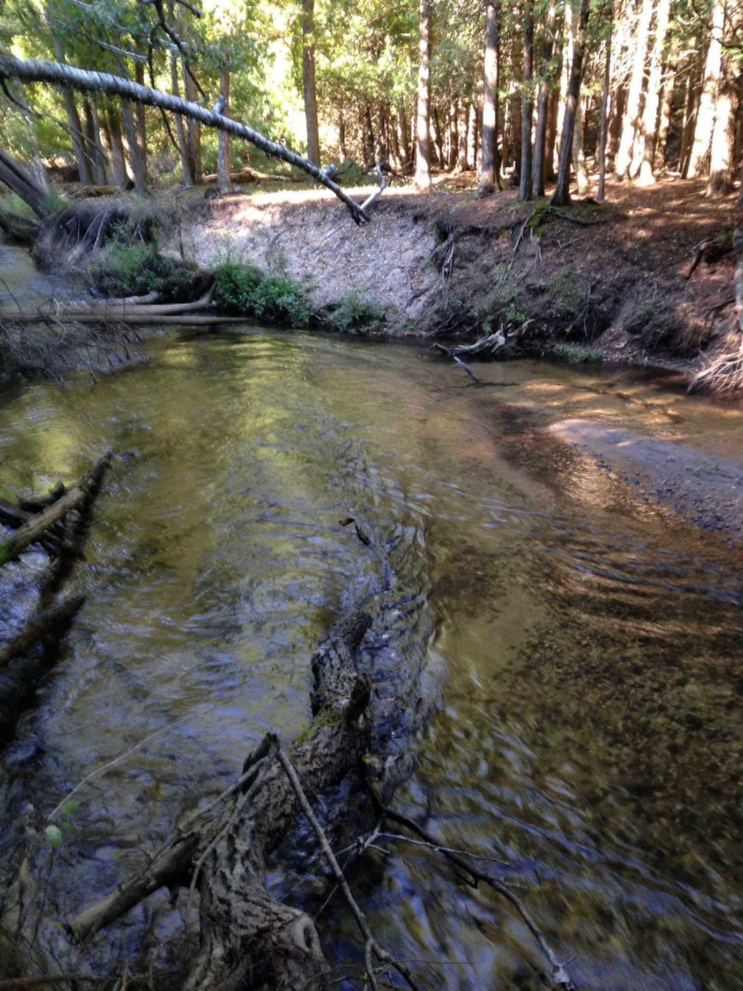 0 Cedar Creek Road Manistee, MI 49660 - Photo 1 of 13 Pine creek 1