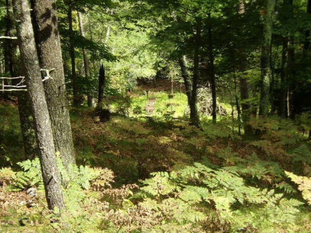0 Cedar Creek Road Manistee, MI 49660 - Photo 11 of 13 008