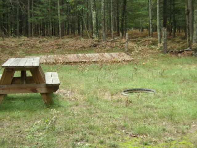 0 Cedar Creek Road Manistee, MI 49660 - Photo 12 of 13 009