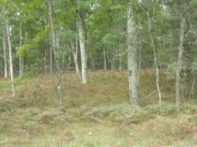 0 Cedar Creek Road Manistee, MI 49660 - Photo 13 of 13 010
