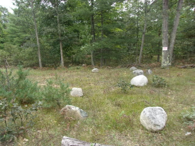 0 Cedar Creek Road Manistee, MI 49660 - Photo 2 of 13 001