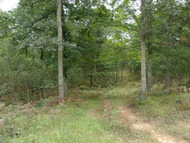 0 Cedar Creek Road Manistee, MI 49660 - Photo 4 of 13 002