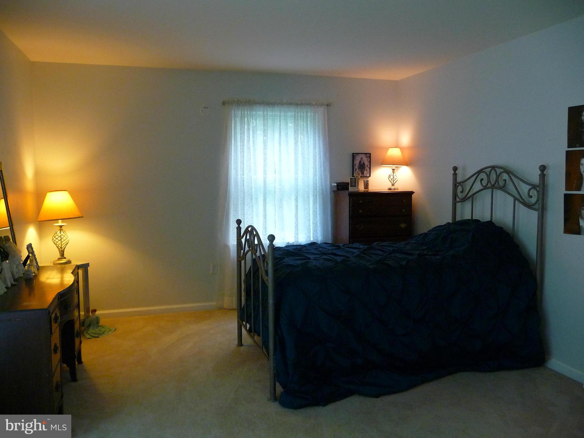 7349 Eggbornsville Road Rixeyville, VA 22737 - Photo 13 of 21 Bedroom (Master)