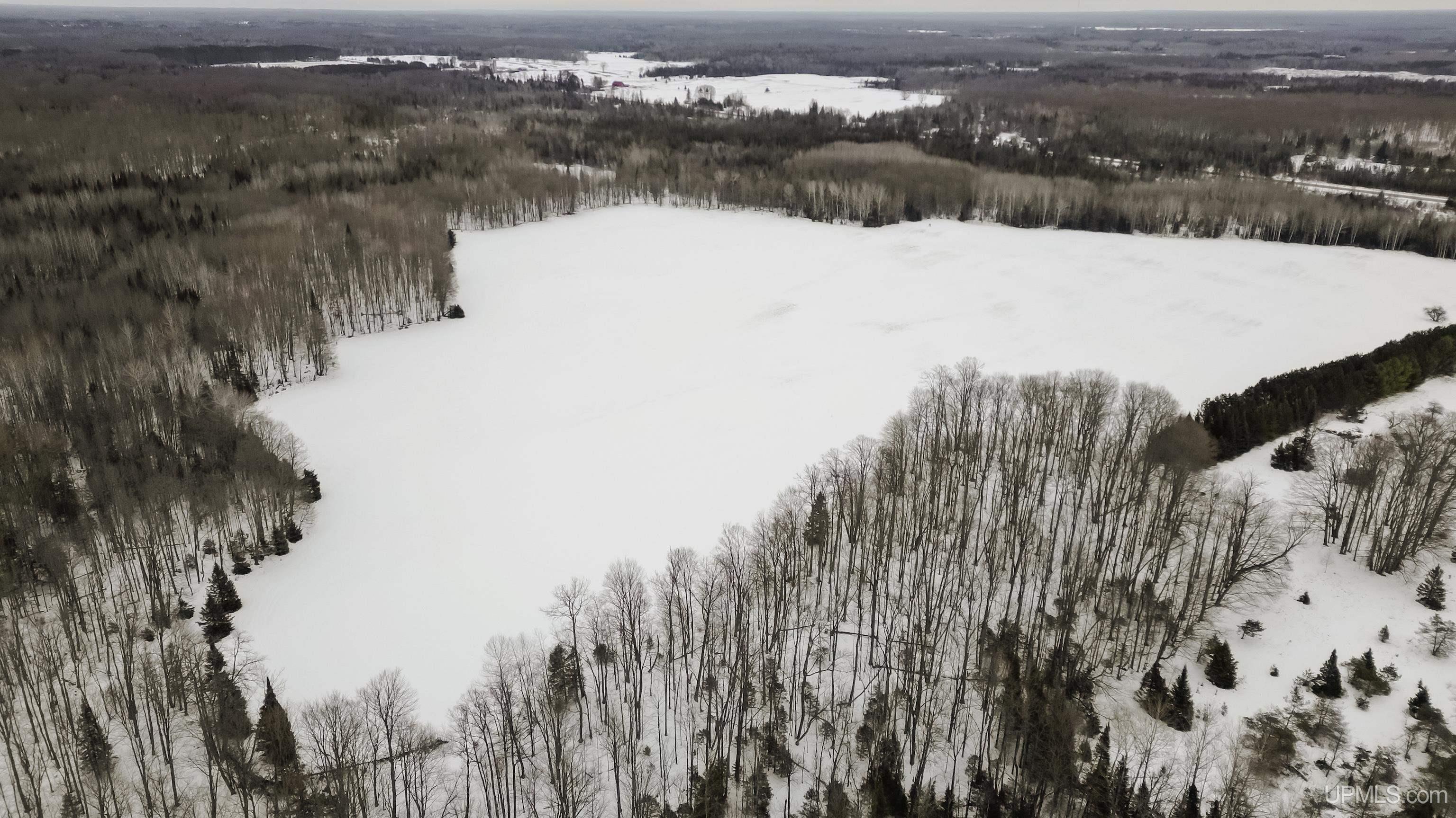 Tbd East Osier 40th Road Rapid River, MI 49878 - Photo 7 of 14
