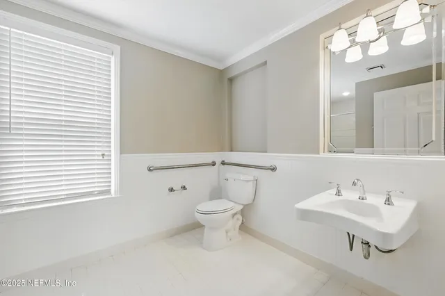 a view of a park with potted plants and palm trees