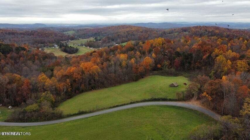 Smith Hollow Road Blaine, TN 37709 - Photo 1 of 12 Smith13