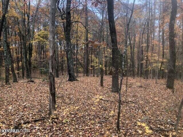 Smith Hollow Road Blaine, TN 37709 - Photo 11 of 12 Smith12