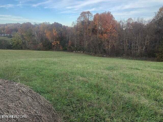 Smith Hollow Road Blaine, TN 37709 - Photo 2 of 12 Smith3