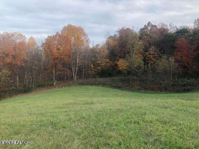 Smith Hollow Road Blaine, TN 37709 - Photo 3 of 12 Smith4