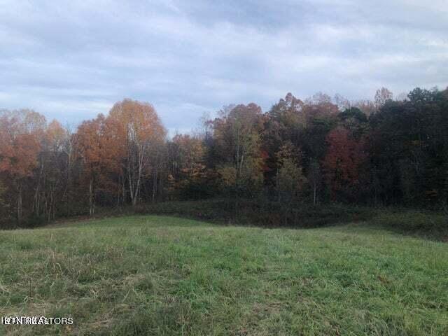 Smith Hollow Road Blaine, TN 37709 - Photo 4 of 12 Smith5