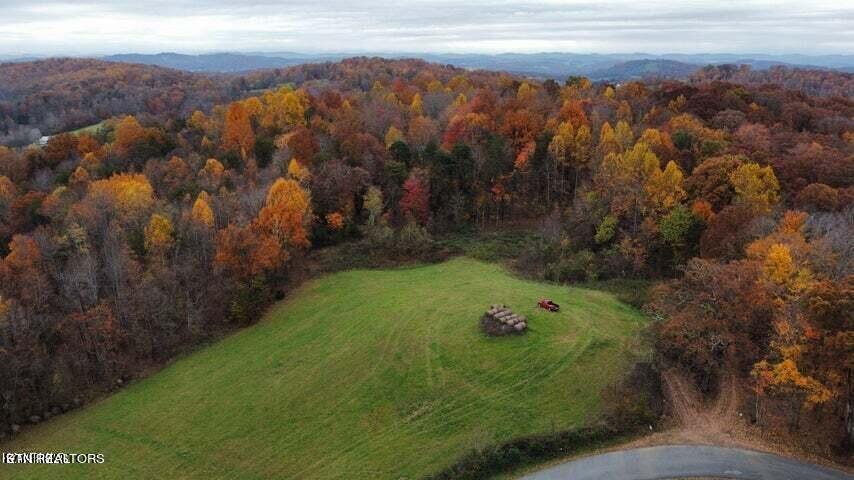Smith Hollow Road Blaine, TN 37709 - Photo 9 of 12 Smith10
