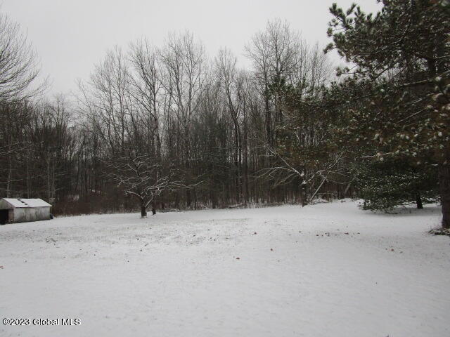 184 Smith Road Perth, NY 12010 - Photo 5 of 43 IMG_0012