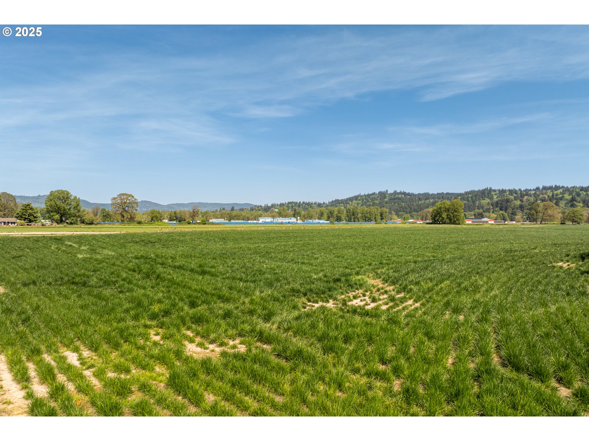 0 Whalen Road Woodland, WA 98674 - Photo 14 of 29