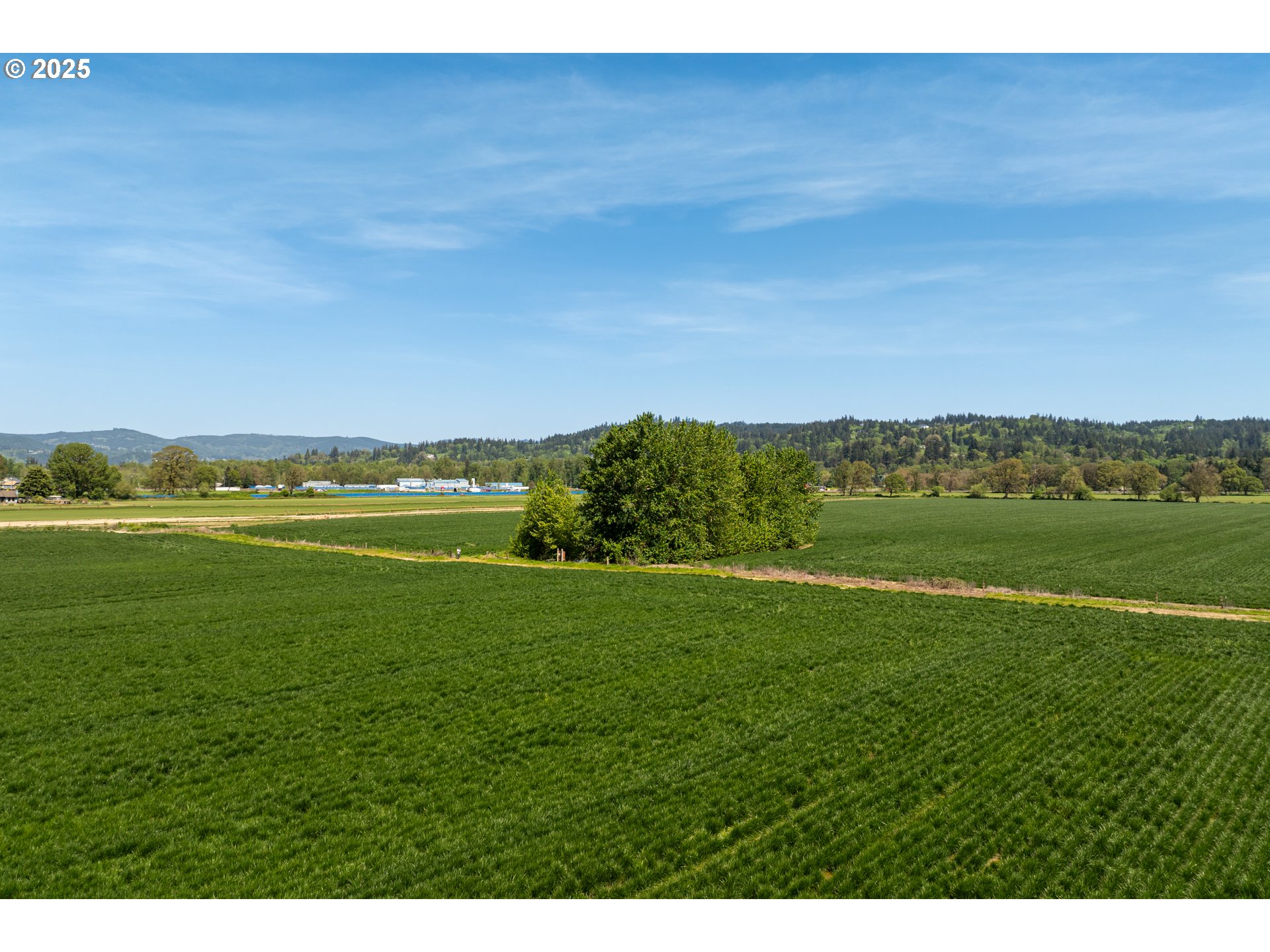 0 Whalen Road Woodland, WA 98674 - Photo 17 of 29