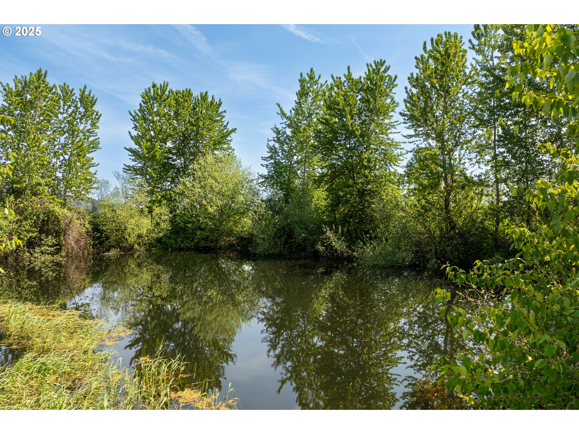 0 Whalen Road Woodland, WA 98674 - Photo 18 of 29